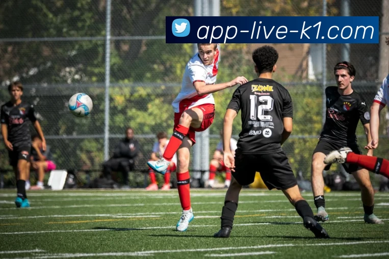 K1体育服务体系